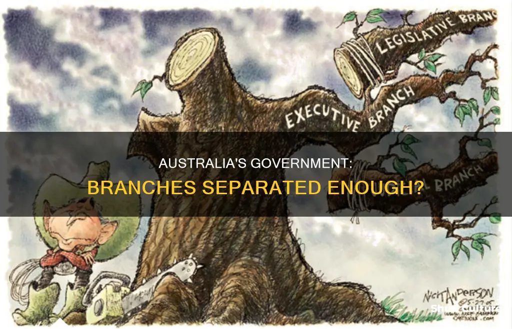 are the three branches of government adequately separated in australia