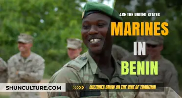 Exploring the Presence of U.S. Marines in Benin: A Comprehensive Overview