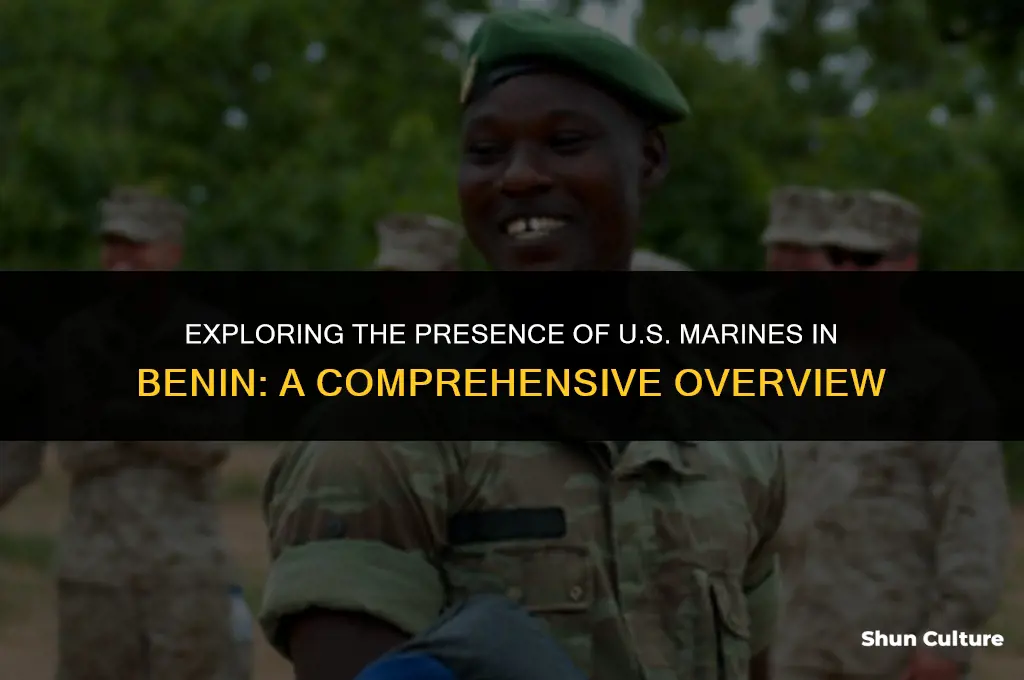 are the united states marines in benin