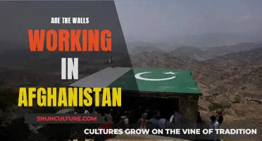 The Great Divide: Examining the Effectiveness of Walls in Afghanistan