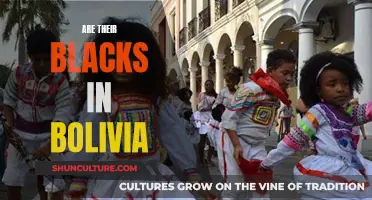 Black Bolivians: A Community in the Spotlight