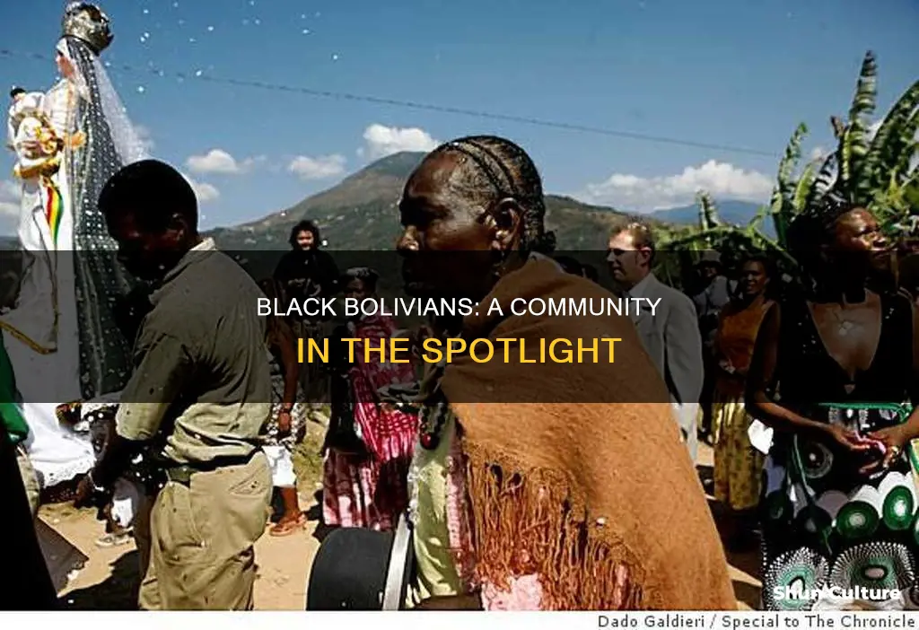 are their blacks in bolivia