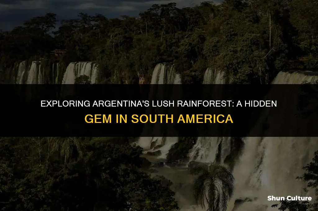 are their rainforests in argentina