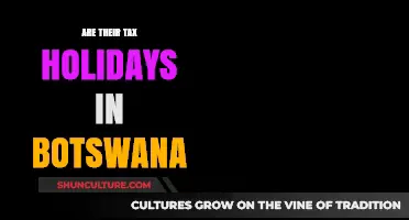 Exploring Botswana's Tax Holidays: Benefits, Eligibility, and Impact on Investment