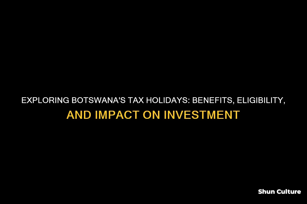 are their tax holidays in botswana