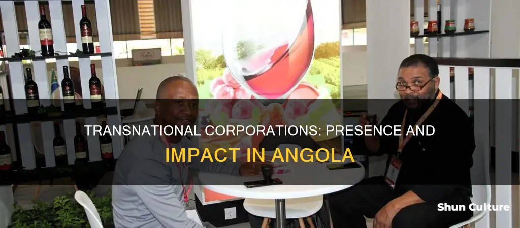 are their transnational corporations in angola