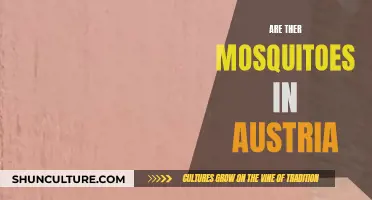 Mosquitoes in Austria: What's the Real Buzz?