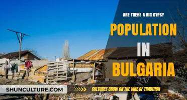 Exploring Bulgaria's Diverse Communities: The Gypsy Population