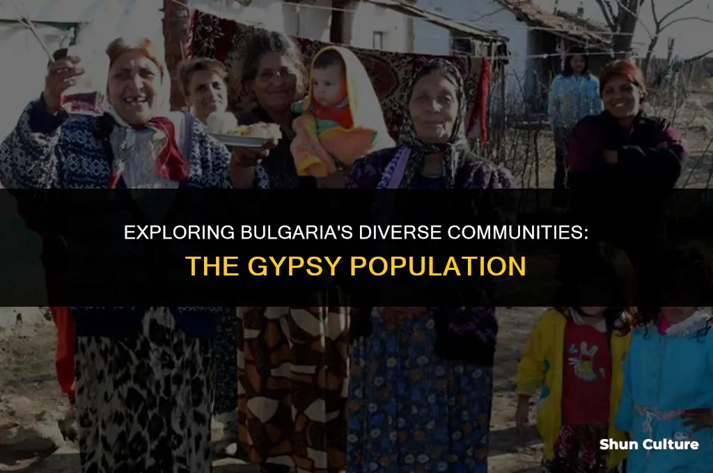 are there a big gypsy population in bulgaria
