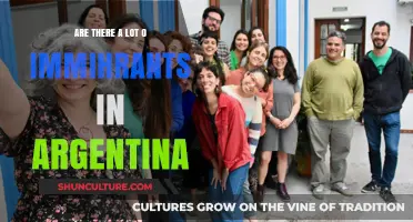 Exploring the Rich Cultural Tapestry: Immigration in Argentina