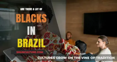 Exploring Brazil's Diverse Population: The Significant Presence of Afro-Brazilians