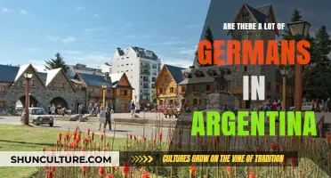 Exploring the German Influence in Argentina: A Cultural Journey
