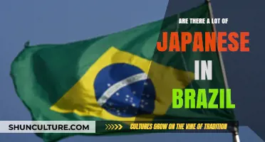 Exploring Brazil's Japanese Community: Size, History, and Cultural Impact