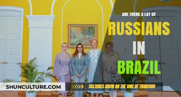 Exploring the Presence of Russians in Brazil: A Cultural Overview