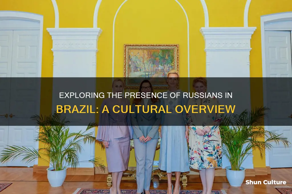 are there a lot of russians in brazil