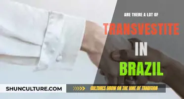 Exploring Brazil's Diverse Gender Expression: Transvestites in Brazilian Culture