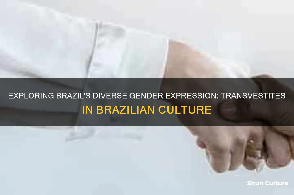 are there a lot of transvestites in brazil