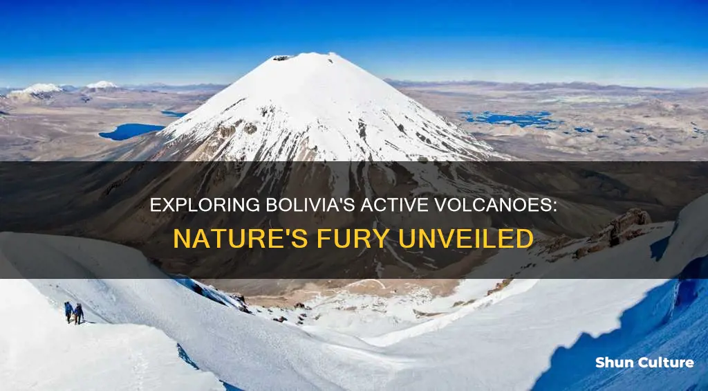 are there active volcanoes in bolivia