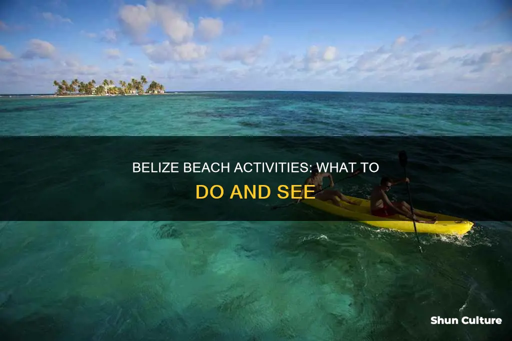 are there activities that are at beach in belize