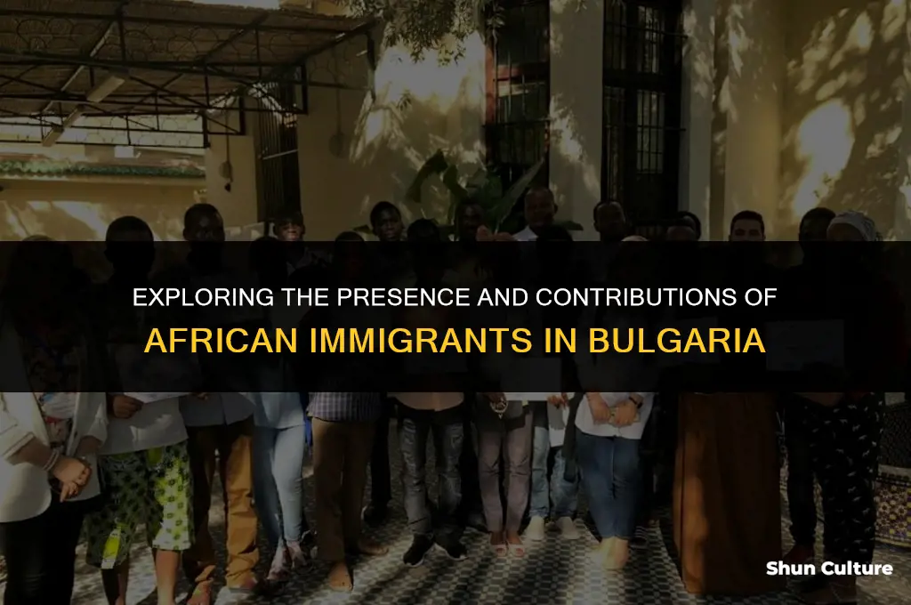 are there african immigrants in bulgaria