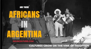 Exploring African Roots and Presence in Argentina: A Cultural Journey