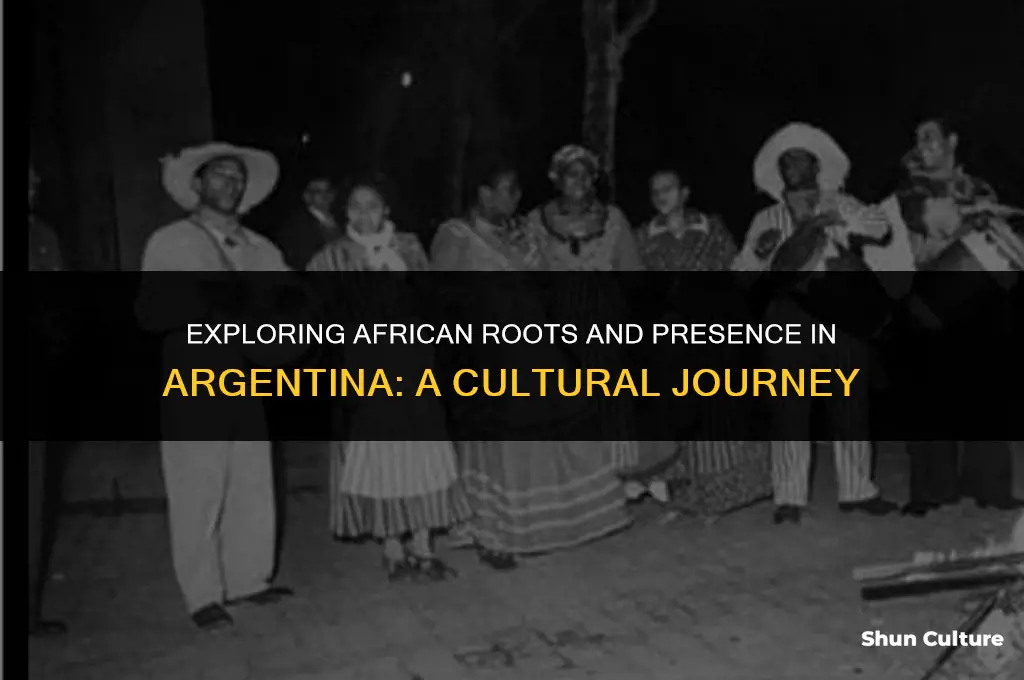 are there africans in argentina