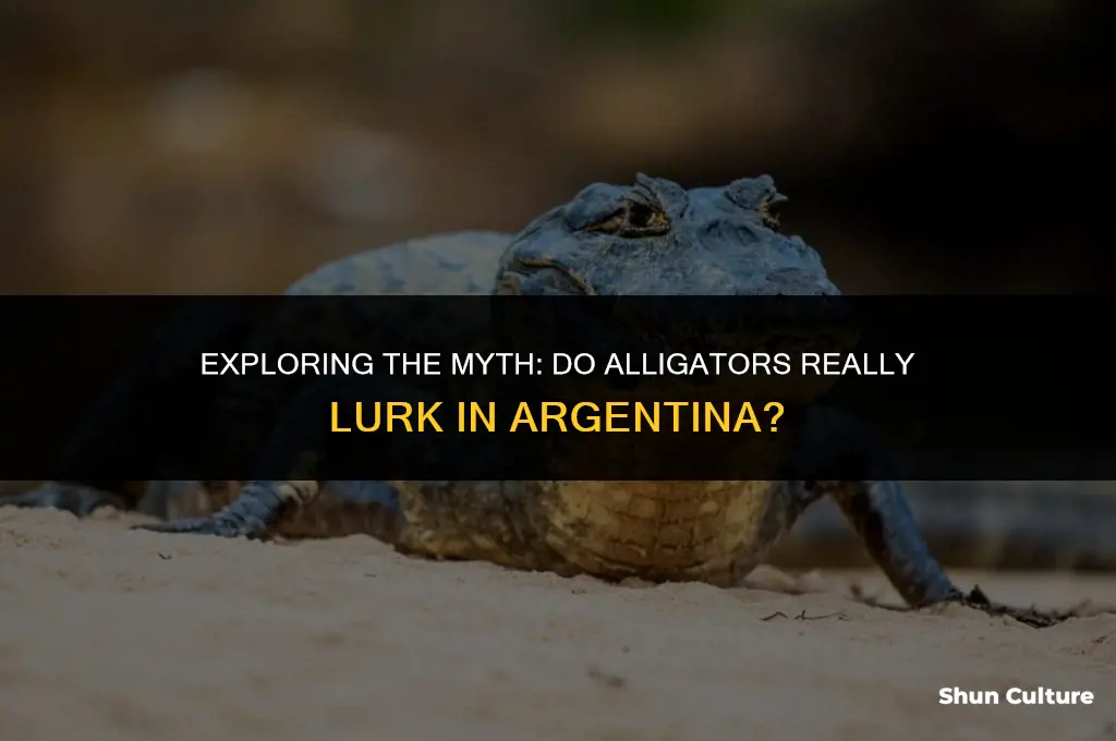 are there alligators in argentina