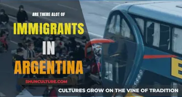 Exploring the Immigrant Population in Argentina: Facts and Figures