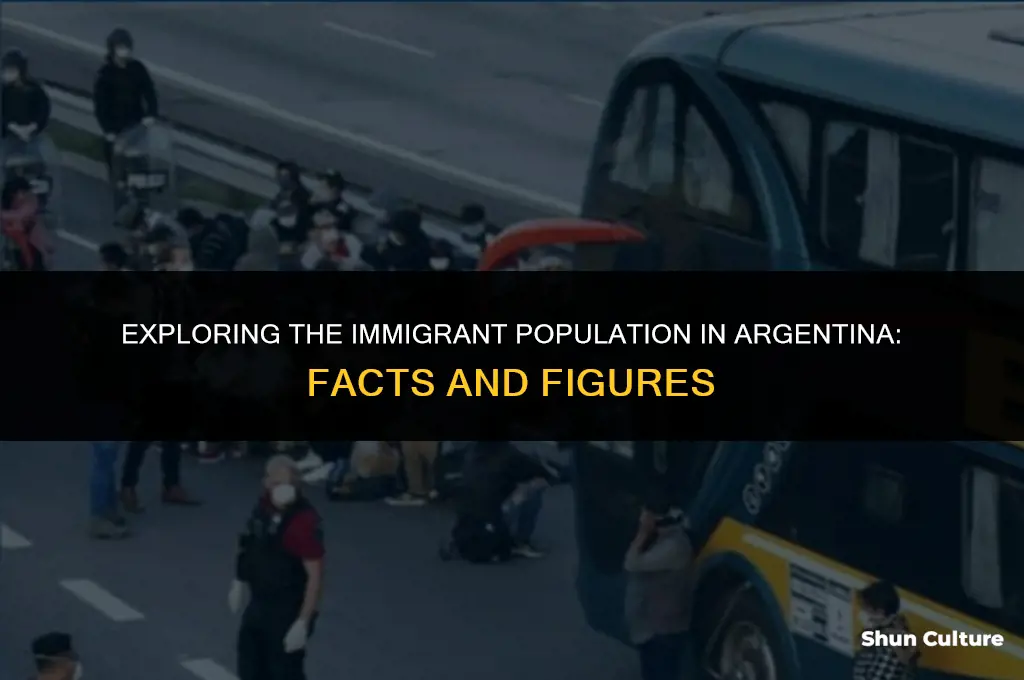 are there alot of immigrants in argentina