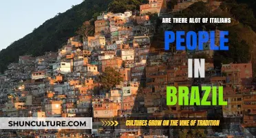 Exploring the Significant Italian Influence and Population in Brazil