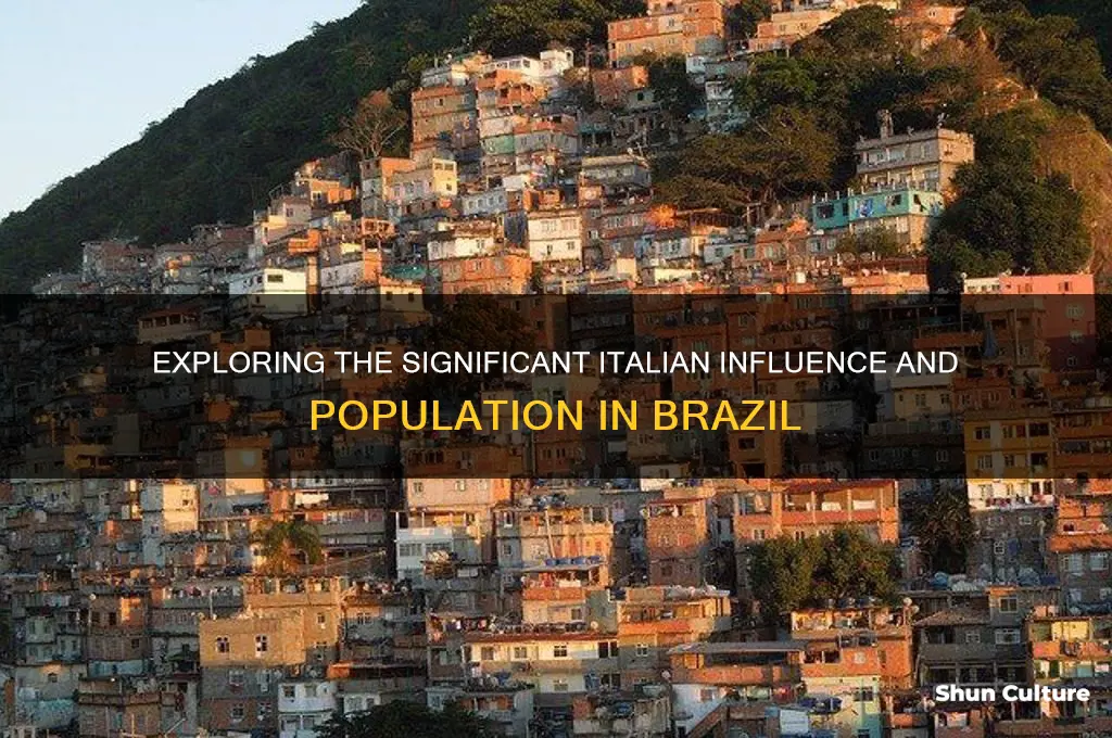 are there alot of italians people in brazil