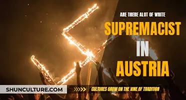 White Supremacists in Austria: A Growing Concern?