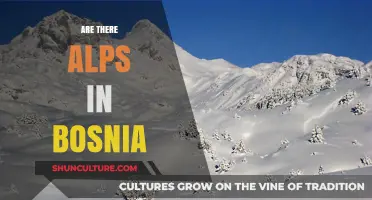 Exploring Bosnia's Majestic Mountains: Are There Alps in the Region?