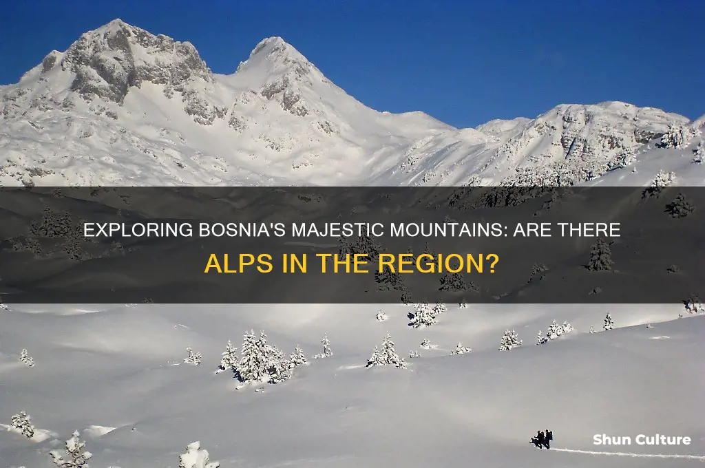 are there alps in bosnia
