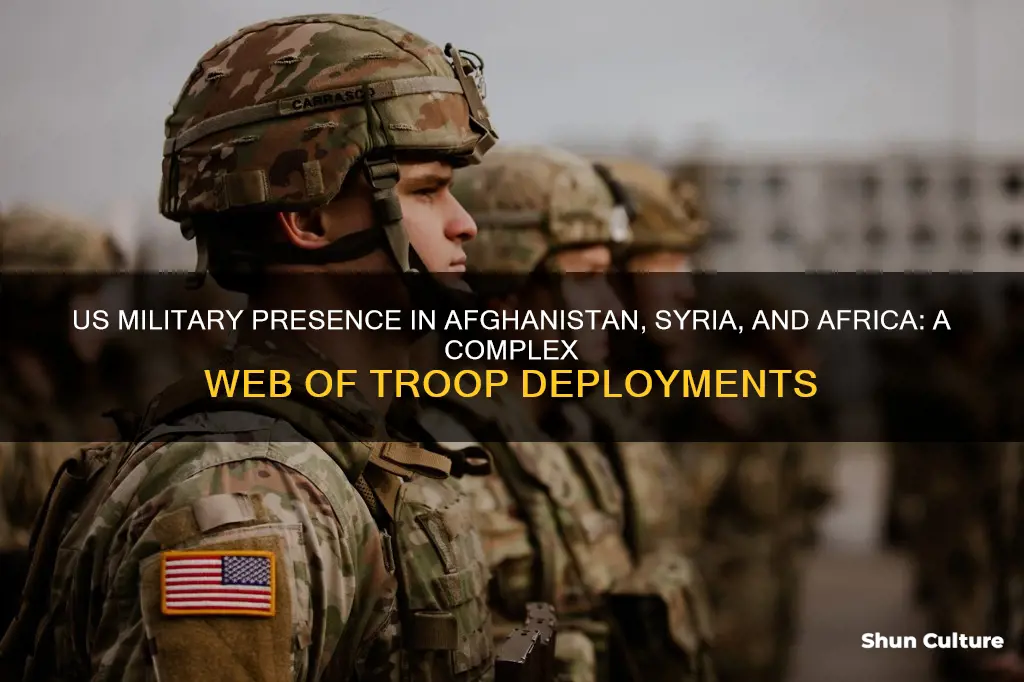 are there american troops based in afghanistan syria and africa