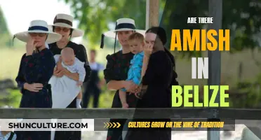 The Amish in Belize: An Unexpected Community