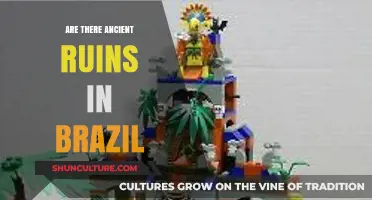 Unveiling Brazil's Hidden Past: Exploring Ancient Ruins in the Amazon
