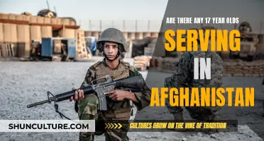 Young Warriors: Examining the Presence of 17-Year-Old Soldiers in Afghanistan's Conflict