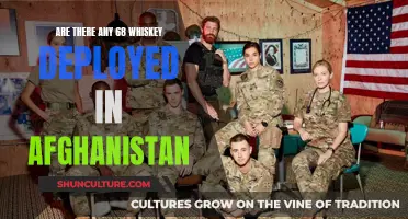 Whiskey Work in War Zones: The Story of 68 Whiskey Medics in Afghanistan