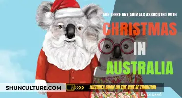 Christmas Animals in Australia: Unique Aussie Icons