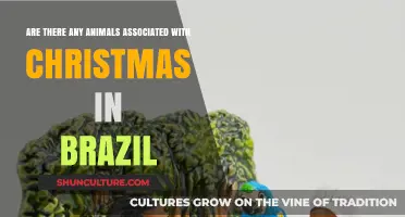 Brazil's Christmas Animals: Unique Creatures Celebrating the Holiday Season