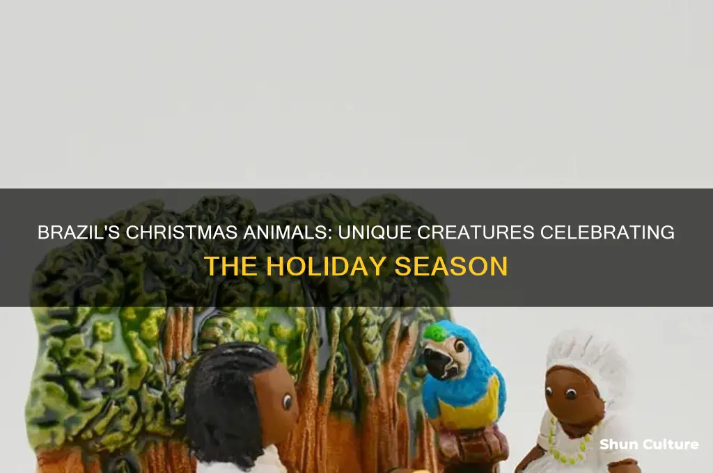 are there any animals associated with christmas in brazil