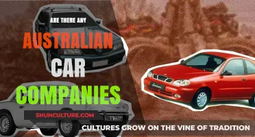 Australian Car Companies: A Dying Breed?