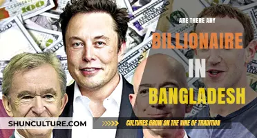 Exploring Bangladesh's Wealth: Are There Any Billionaires in the Country?
