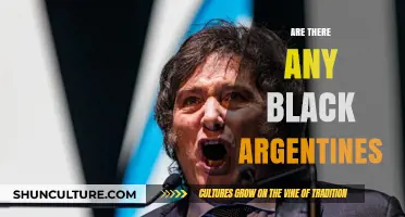 Exploring Diversity: The Presence of Black Argentines