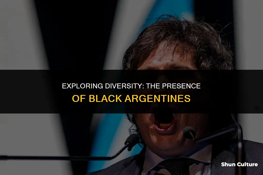 are there any black argentines