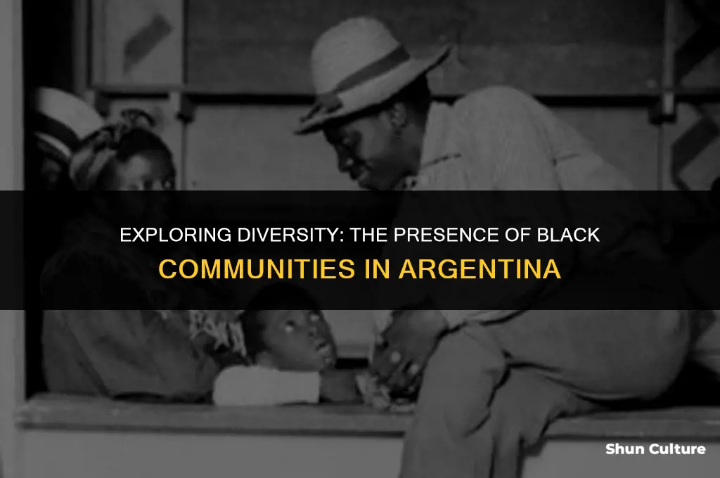 are there any black people living in argentina