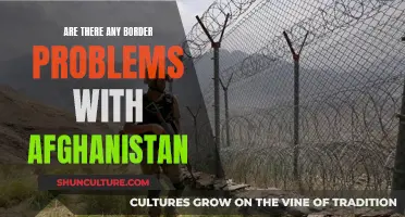 The Shifting Sands of Border Diplomacy: Afghanistan's Complex Border Relations