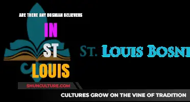 Exploring Bosnian Faith Communities in St. Louis: Beliefs and Presence