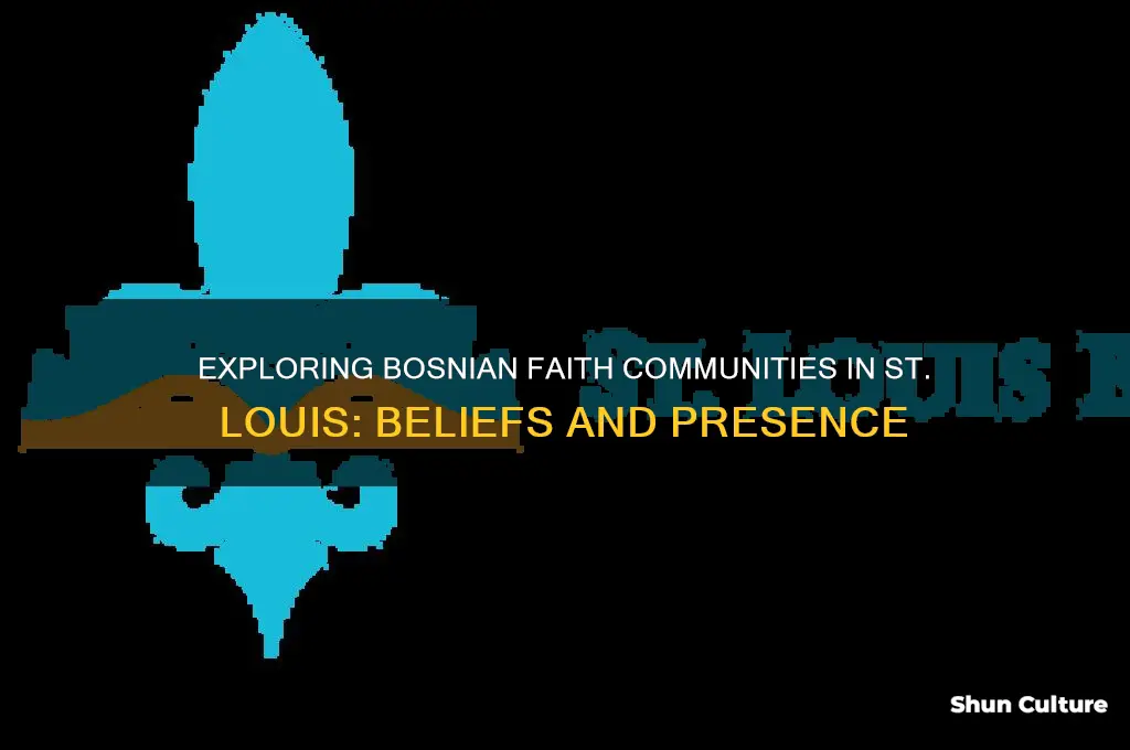 are there any bosnian believers in st louis